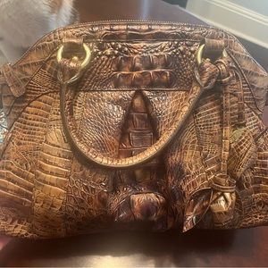 Brahmin Louise Rose in Tortoise GUC